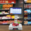 BPOVO GS-G3 Touch Screen POS with Weighing Scales